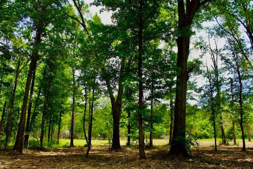 91F914E1-5F40-449D-8662-D4E2A6A0743F_1_105_c