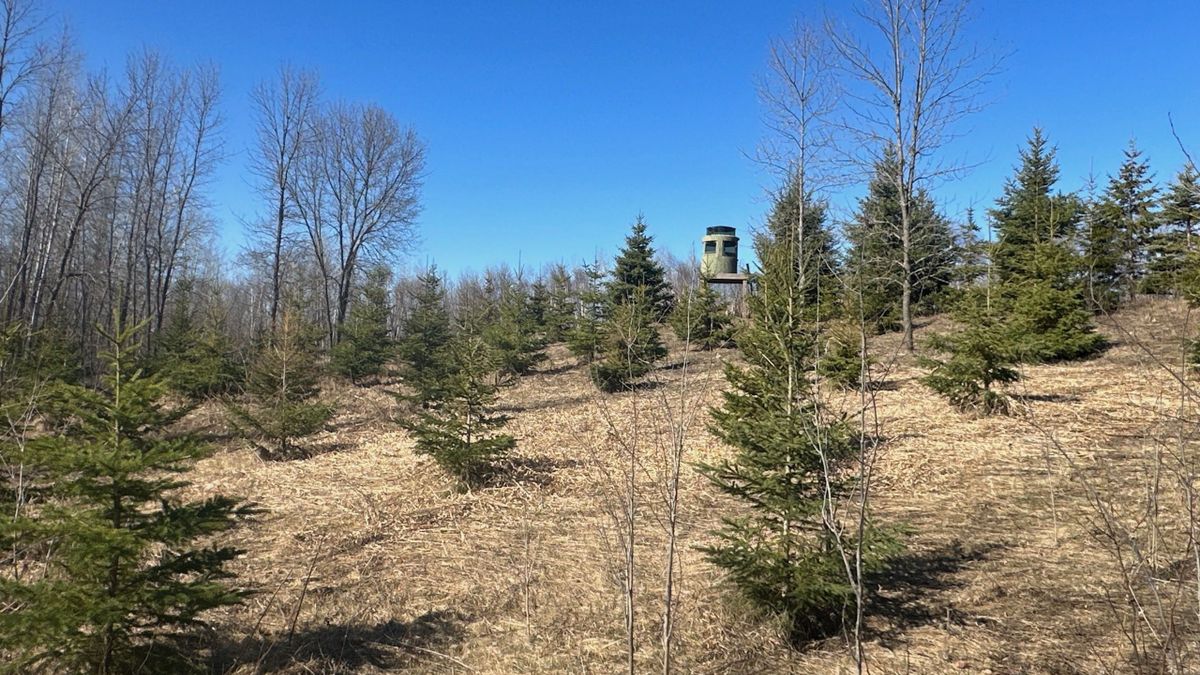 Hunting And Recreational Property Close To Mille Lacs Lake Whitetail