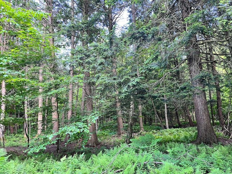 Jefferson_260.3_ Lobach_Photos_69