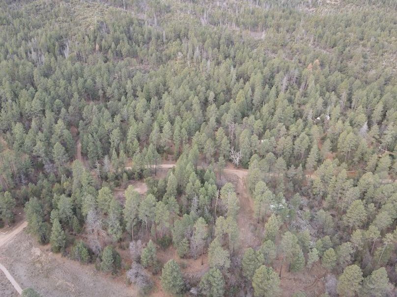 5.dji_fly_20240227_075206_373_1709045822472_photo