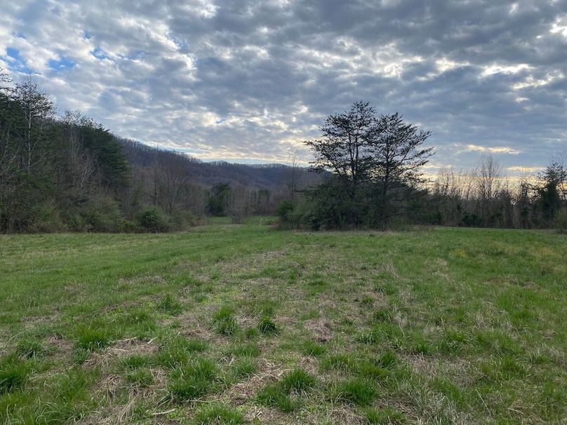 002 the cleared area in then northeastern portion of the property