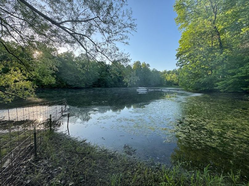 Desoto 8.3 Clement (Final Frontier) -11