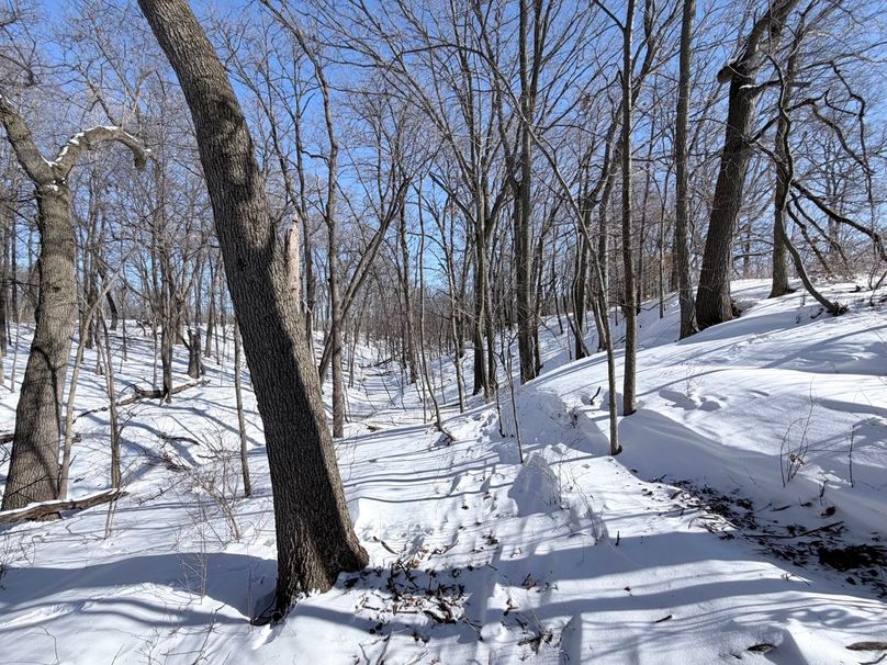 2.Copy of Tract 5 SW Corner Creekbottom Large