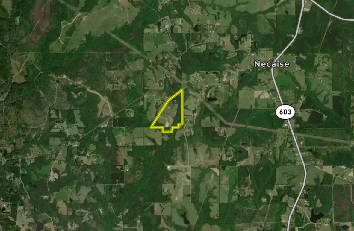 Screen Shot 2025-12-15 at 12.14.10 PM