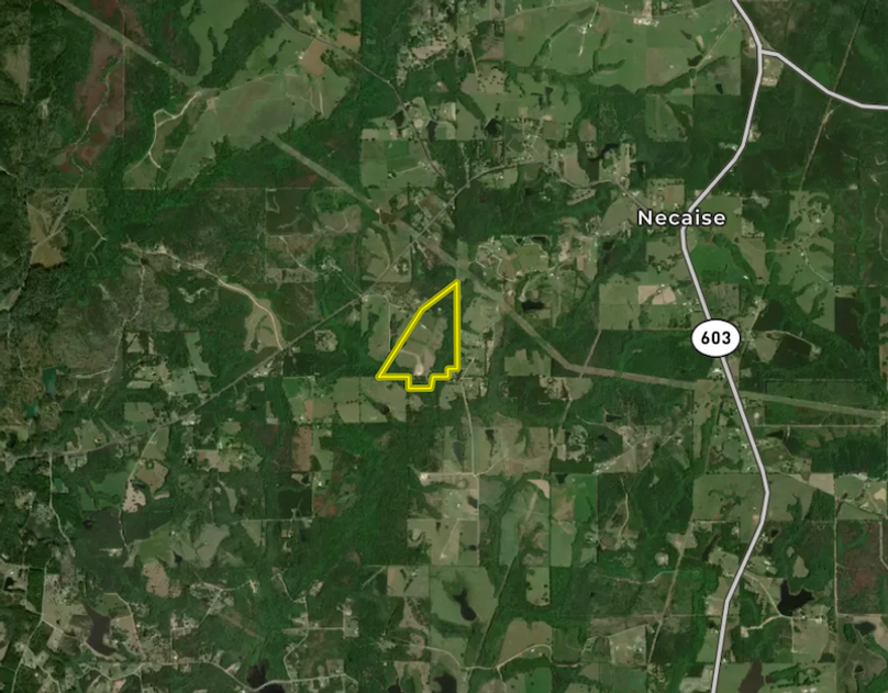 Screen Shot 2025-12-15 at 12.14.10 PM