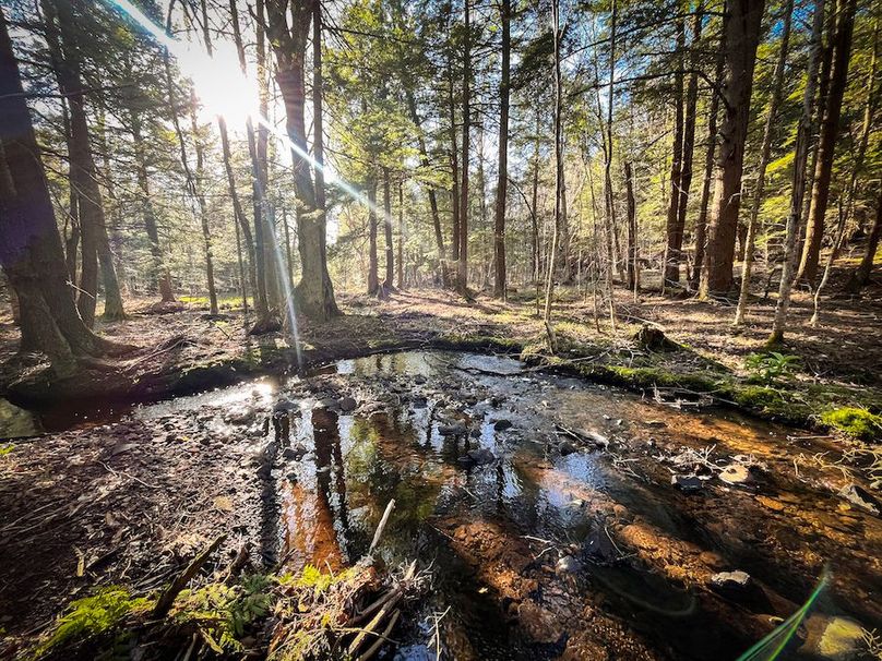 Oswego_17.88_Feld_Photos_75