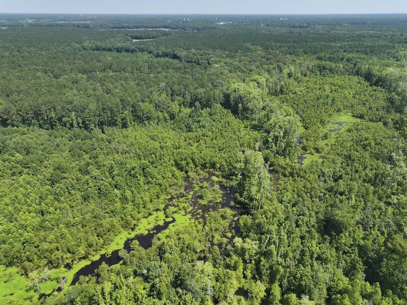 DJI_20250627103401_0124_D