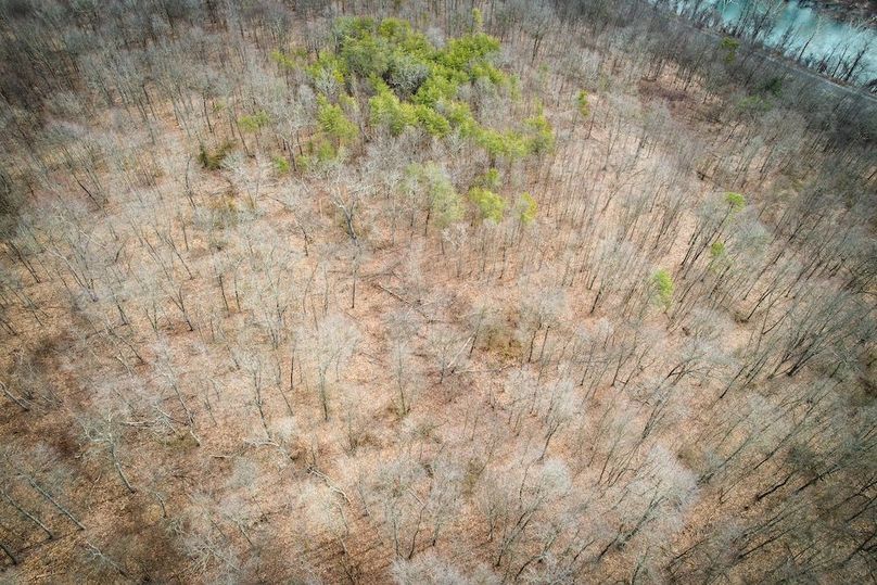 dji_fly_20260302_104134_535_1772466983816_photo