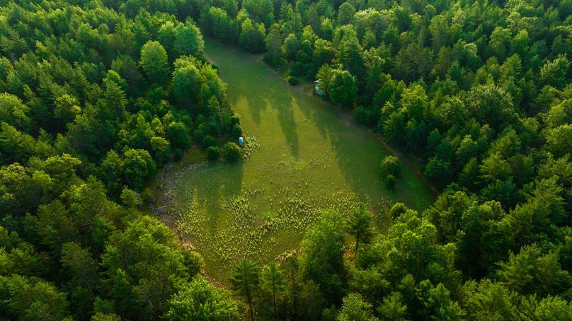 Ogemaw MI 475 Featured Pro Photo-0172