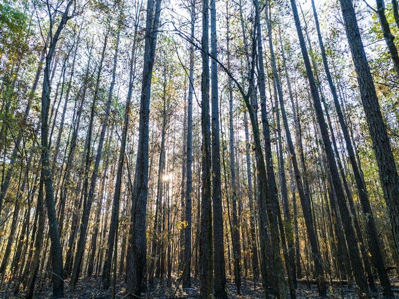 Clay 302.7 Henderson-39