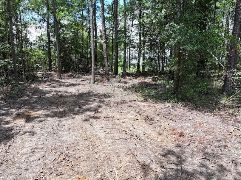 dji_fly_20250708_125402_0224_1752089876450_photo