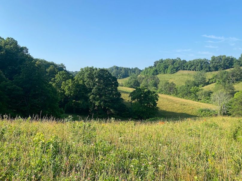 022 the beautiful fields in the upper reaches of the property copy