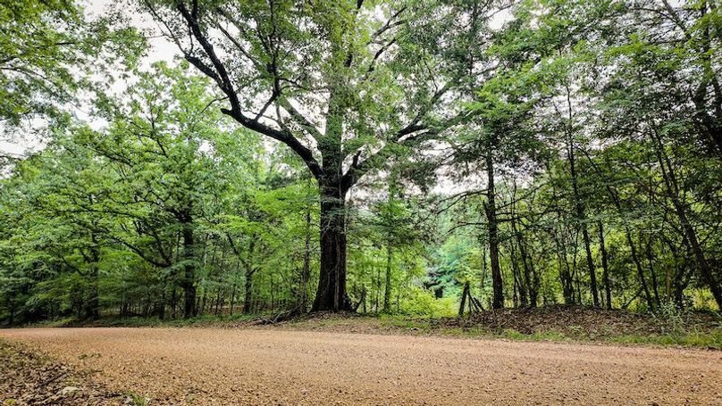 Chickasaw Tract 4-17