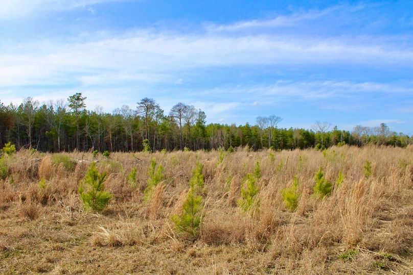 7D301C61-21E8-4784-87B2-485144CC1CAF_1_201_a