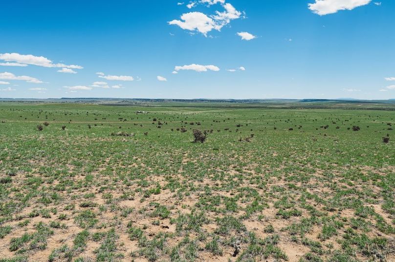 Huerfano Co 35.81 Bennett Outdoor Services -2