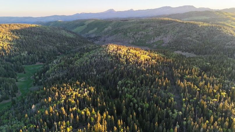 DJI_20250614062202_0107_D