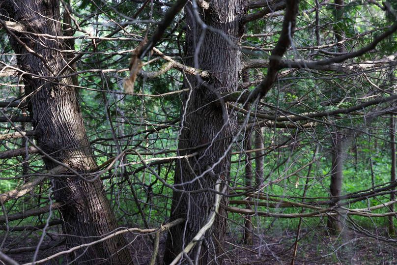 Mackinac20Fewins-6062