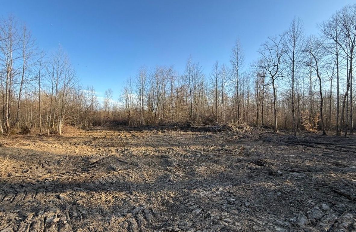 001 the open open cleared area in the front part of the property along the county gravel road