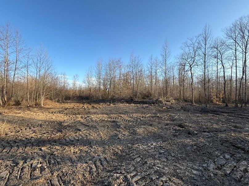 001 the open open cleared area in the front part of the property along the county gravel road