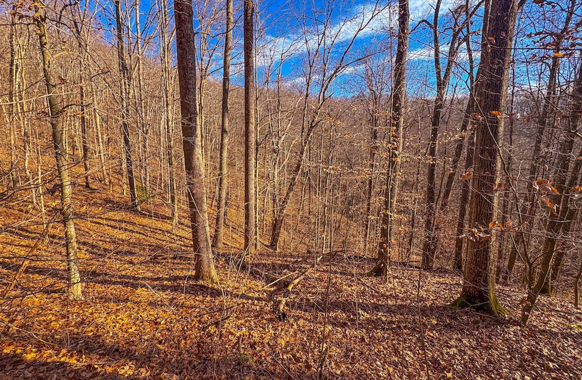 Lewis, WV 82.87 AC Barger-02