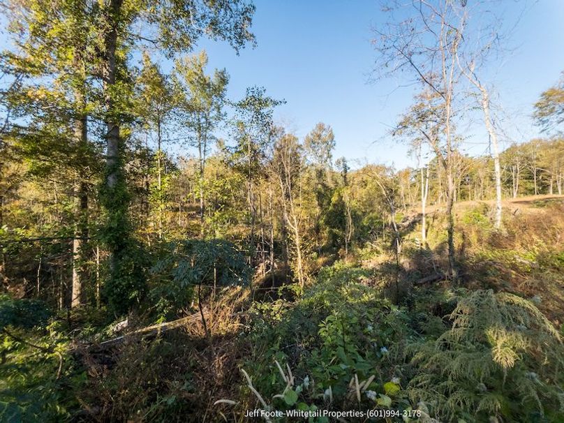 Claiborne Co-189-Geronimo-10