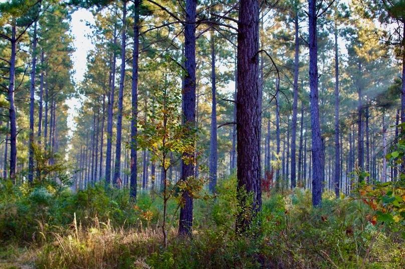 3149CF3B-14D4-47B8-B2E0-5AF8598F27B4_1_105_c