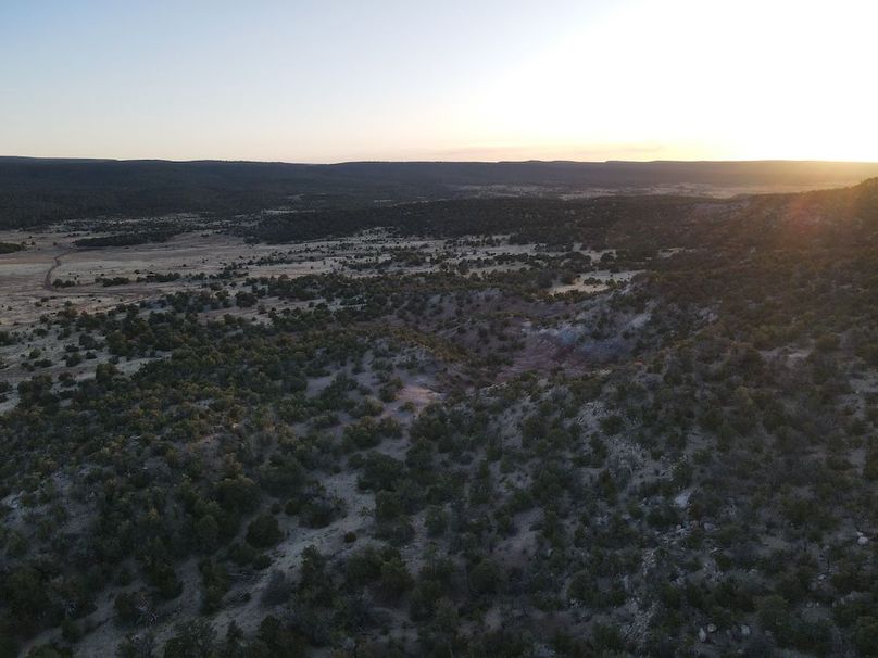 50_Pratt Habitat sunset_2