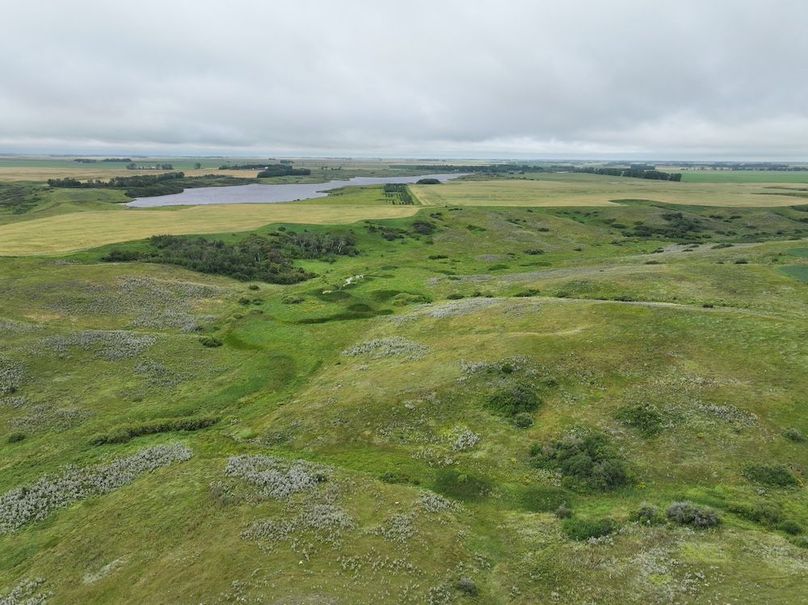 DJI_20250704140923_0618_D