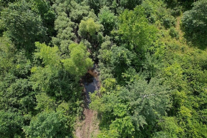 dji_fly_20250805_150334_201_1754424639041_photo