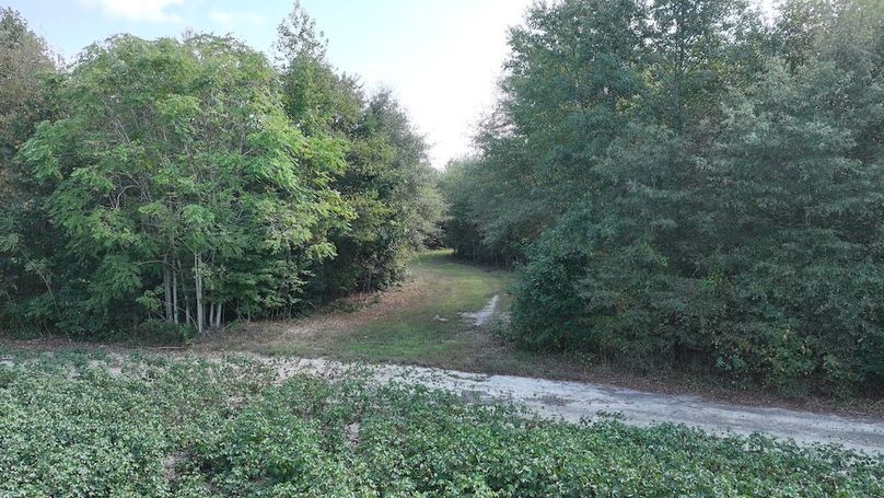 DJI_20250911023942_0317_D