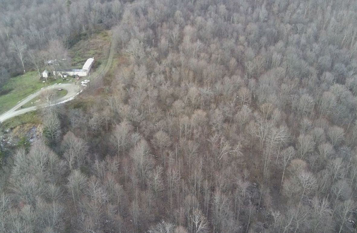 4788740_100DRONE_SING0488