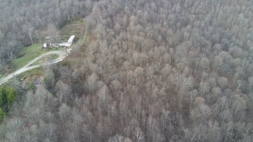 4788740_100DRONE_SING0488