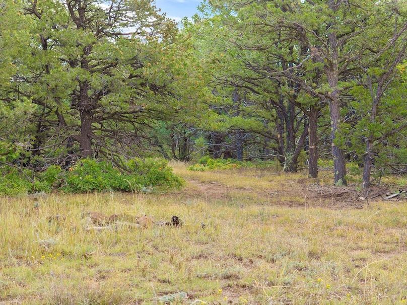 DJI_20250924103215_0049_D