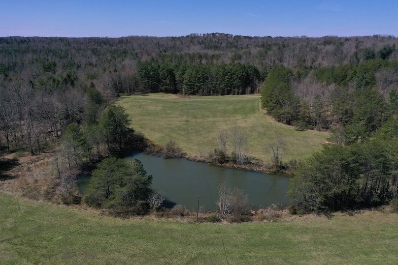 009 beautiful drone shot looking West over the pond and western most field from above the elevated blind in the center of the tract