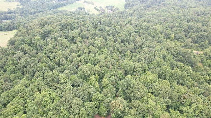 dji_fly_20250714_141728_446_1752537420070_photo