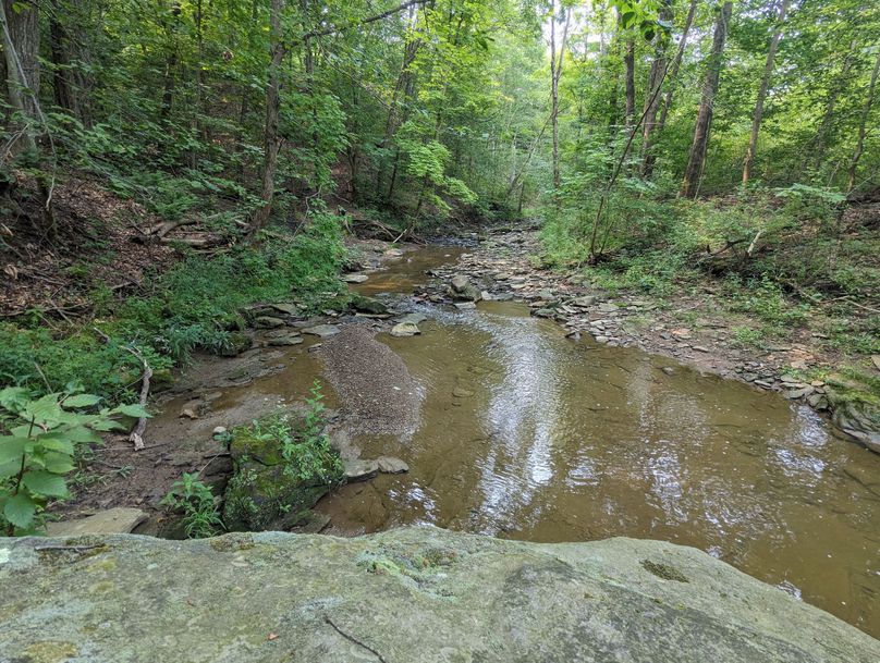 PXL_20230801_145544847