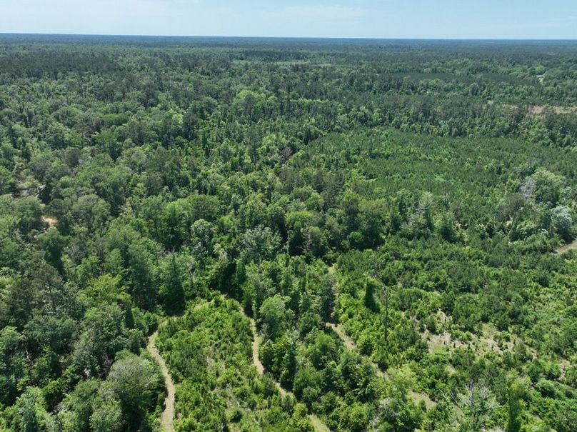 dji_fly_20250522_161314_227_1747959531965_photo