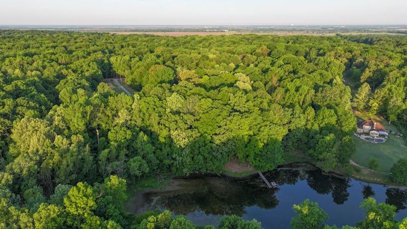 Desoto 8.3 Clement (Final Frontier) -26