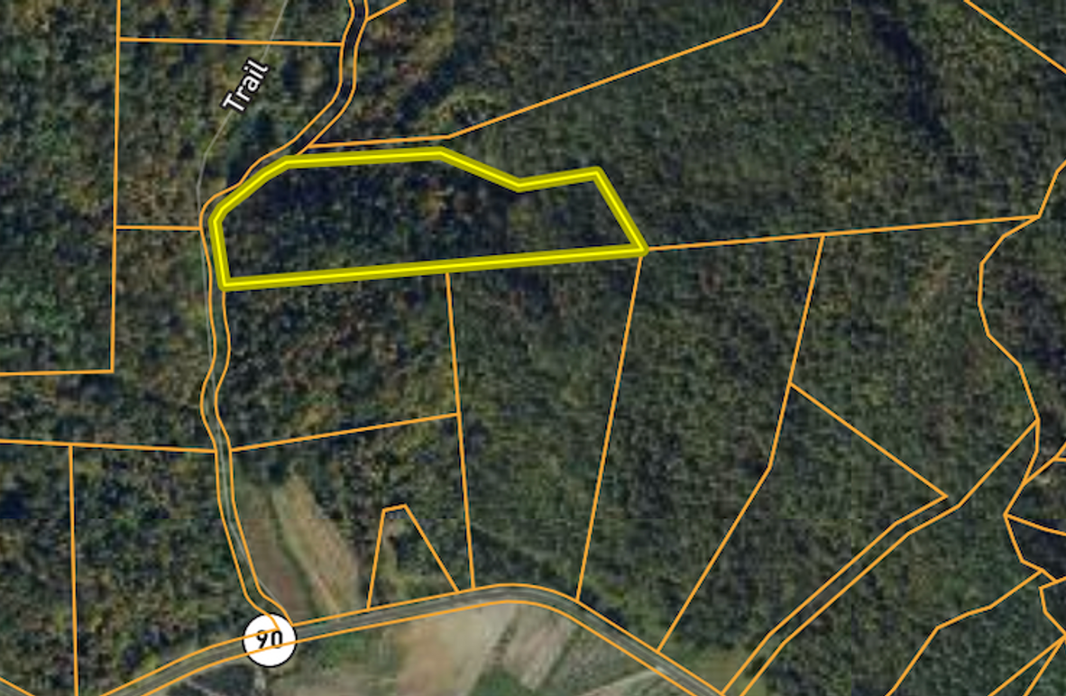 Screenshot 2025-03-03 at 10.14.20 AM