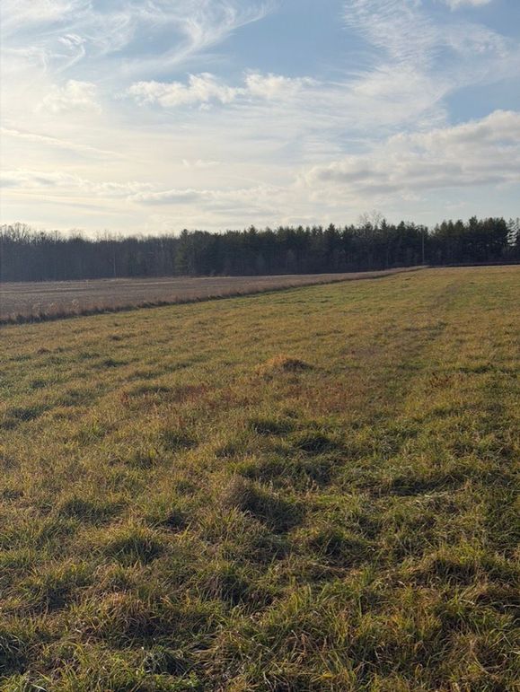 BAFAC98D-30A0-46BF-9041-07531A354275_1_105_c-2