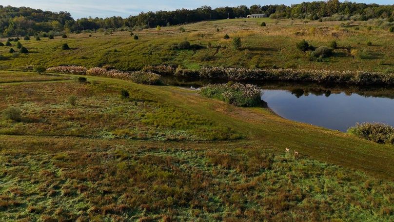 Sequence 07.00_07_22_10.Still110