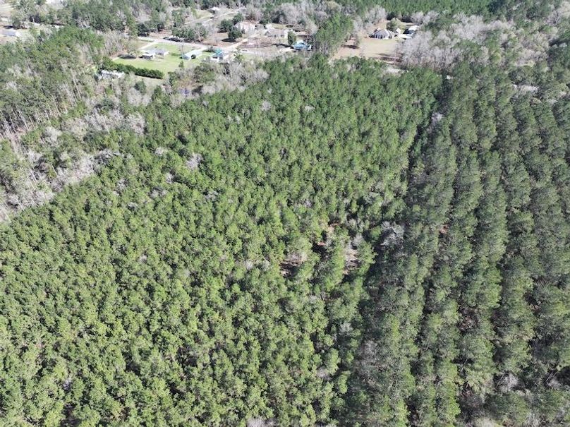 dji_fly_20260112_110058_0805_1768323794862_photo