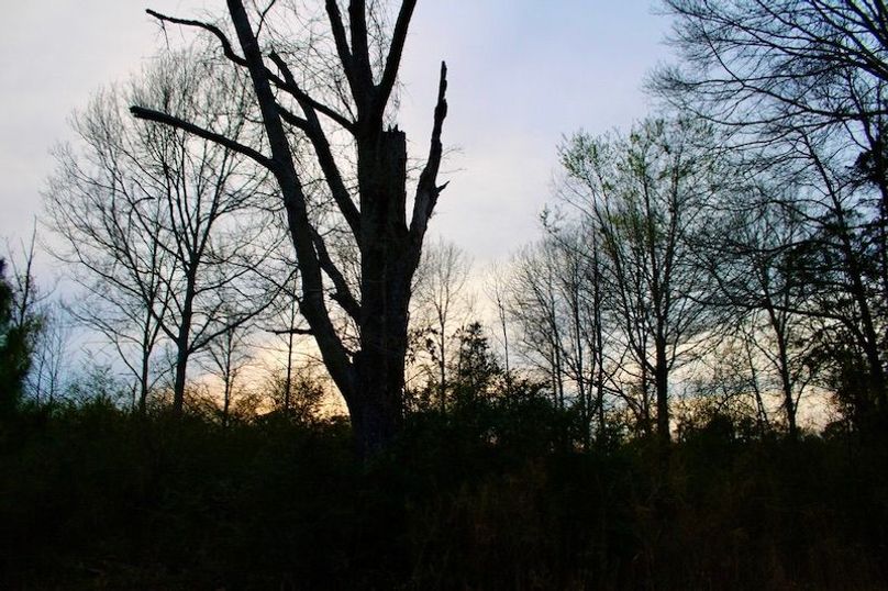 F5AB50B2-4A32-4973-AB67-71EB631C43C7_1_105_c