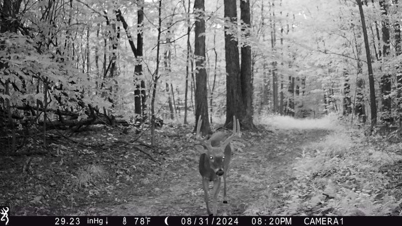 Trail Cam.10