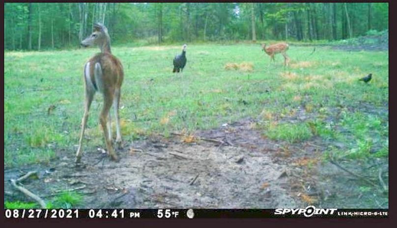 Screenshot 2021-12-15 at 10.13.31 AM