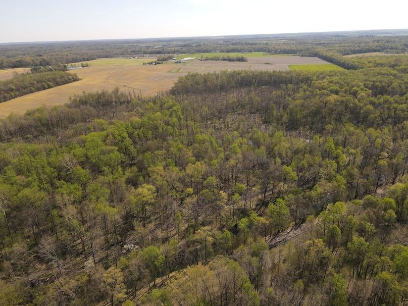 dji_fly_20260408_105822_61_1775660352479_photo