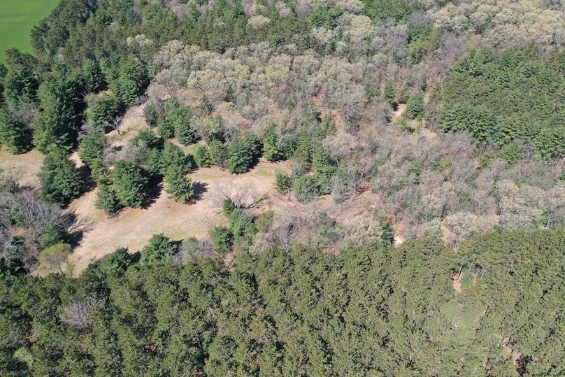 DJI_0664