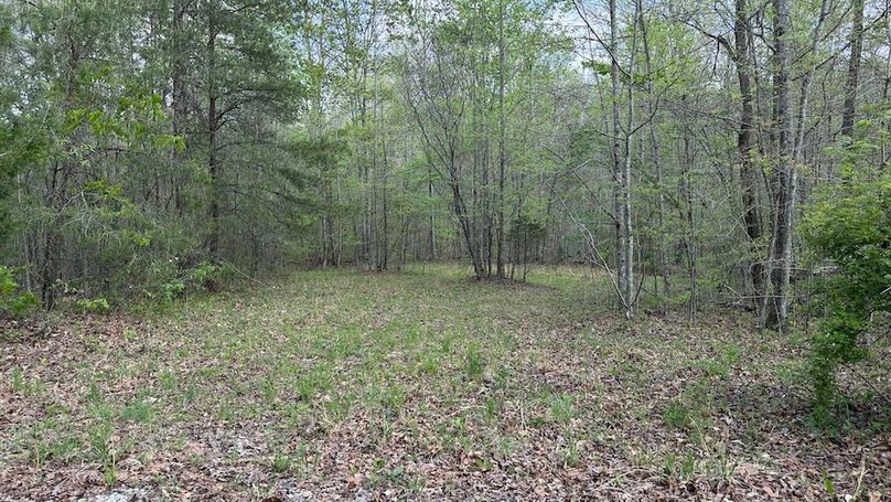 edmonson 110 22