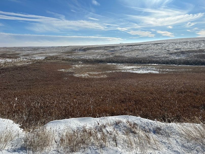 8F3D98F0-4F0C-47B7-AA31-8A8D603B42E3_1_105_c