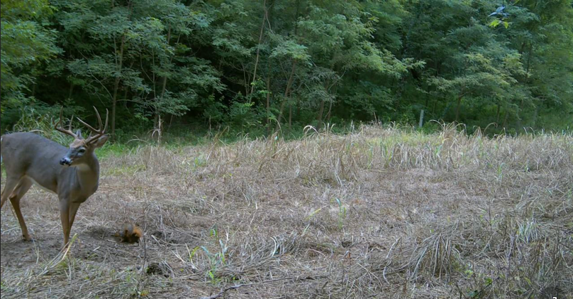 7.3 Copy of Screenshot 2025-09-24 at 2.53.27 PM